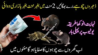 Don't miss this Secret Trick ! Get Rid Of Mouse 😱 | kitchenTips \& Hacks | Quick Rat killer Trick