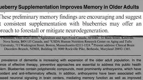 How to Slow Brain Aging by Two Years YouTube