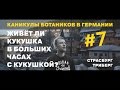 Каникулы Ботаников. Германия. Серия №7.