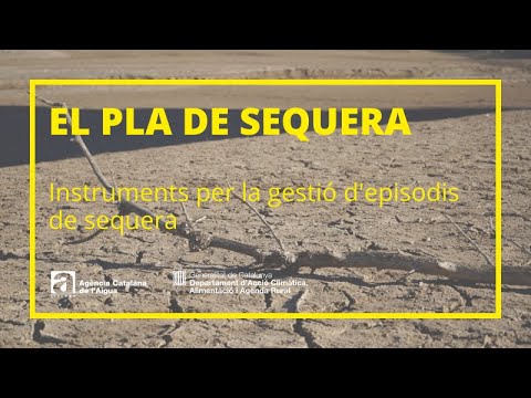 Vídeo: Quina és una eina d'exploració i depuració?