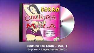 Cintura De Mola Vol. 1 - Empurrei A Língua Dentro (2002) - FORRODASANTIGAS.COM