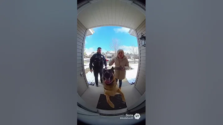 HOA Karen Has a MELTDOWN When Police K9 Shows Up 🤣🐕🚔#DoorbellCam #HOA #Karen #Dog #Viral #subscribe