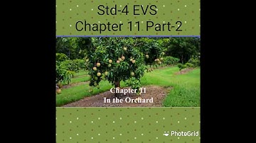 Std-4 EVS Explanation of Chapter 11 Part-2 In the Orchard