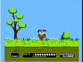 duck hunt