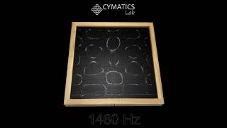 1460Hz Cymatics Pattern