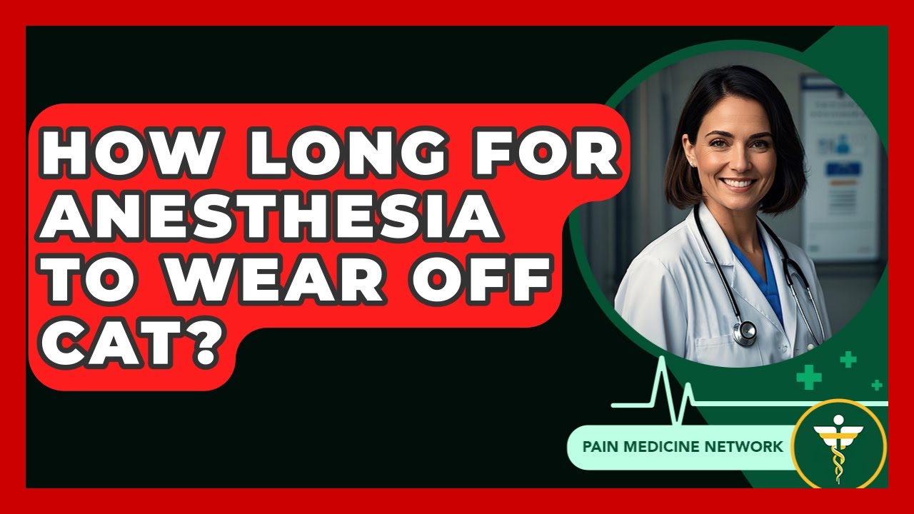 How Long For Anesthesia To Wear Off Cat? - Pain Medicine Network