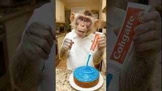 Monkey Vlog - Toothpaste Cake