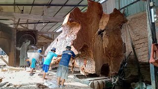 The world's largest mahogany! American yacht plank sawmill sawmill process I Sawmill