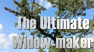 Dangerous tree cutting.  The ultimate WIDOW-maker. FarmCraft101