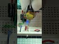 ¿Cómo controlar la velocidad de un LED? 💡 (Truco NE555)