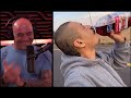 Joe Rogan Experience Clip about Doggface208 On Skateboard Singing Along Fleetwood Mac Viral TikTok.