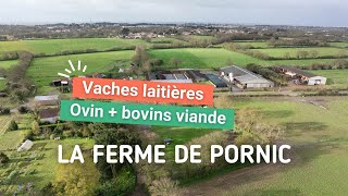 Découvrez le GAEC des Châtelets à Pornic, en Loire-Atlantique (44)