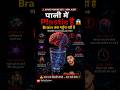 पीने के पानी में Plastic है — और यह आपके Brain तक पहुँच रही है 😱 #shorts