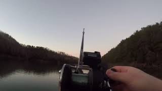 Nice striped bass caught on lake Cumberland Kentucky