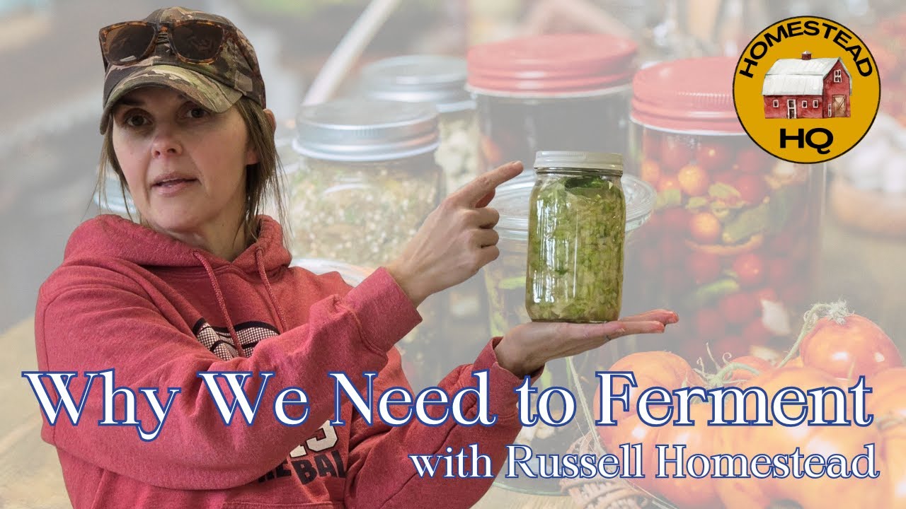 Why Every Homestead Needs Fermented Foods | Dana Russell – Russell Homestead