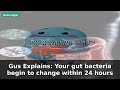 Gus Explains: Your gut bacteria begin to change within 24 hours | Gut Microbiome