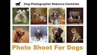 Photoshoot for dogs - Derbyshire by Rebecca Goutorbe 95 views 8 months ago 5 minutes, 47 seconds