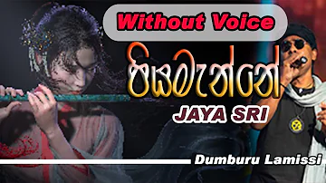 Piyamanne Reggae Jayasri without Voice Karaoke #jayasri #piyamanne #karaoke #withoutvoice #song