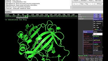 Pymol tutorial active site and metal binding of HCAII