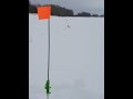 ЩУКИ ДУРОМ ЗАЖИГАЮТ ФЛАГИ! Зимняя рыбалка 2020. Ловля щуки со льда на жерлицу.