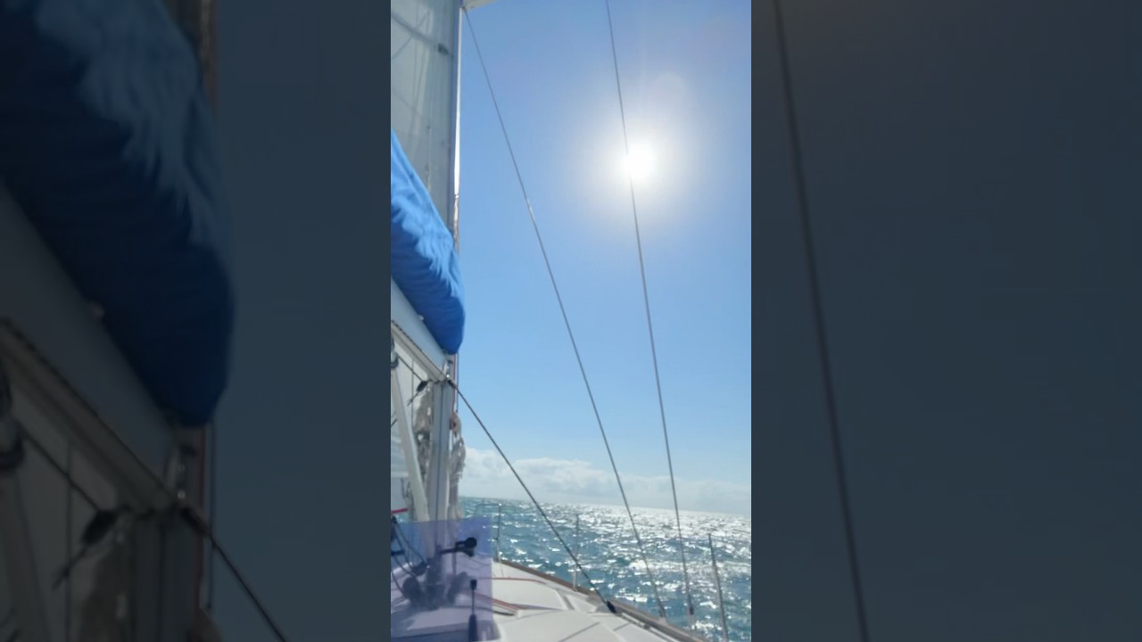 ⁣Sailing from Marquesas to Key West ⛵️ #finallysailing #floridakeys #sailing