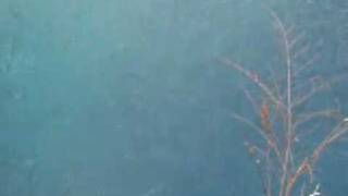 20090205 029