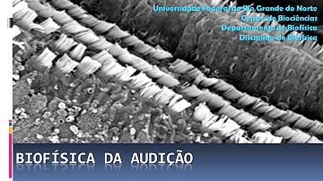 Como ocorre a Biofisica da audição?
