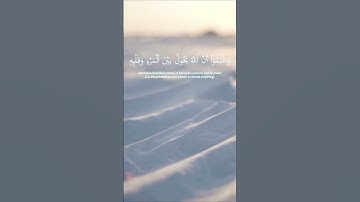 سورة الأنفال  الآية 24 بصوت القارئ محمد الفقيه
