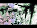 shonci, Mc Flavinho - EMPURRA [Ultra Records]