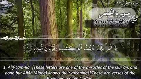 سورة الحجر ماهر المعيقلي مترجم