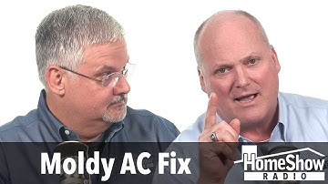 What should I do about mold in my AC system?