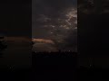 افلا ينظرون الى الابل كيف خلقت القارئ عمر ضياء الدين