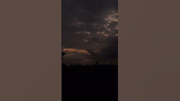 افلا ينظرون الى الابل كيف خلقت / القارئ عمر ضياء الدين
