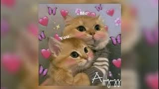 cause shawty is a ennie meenie miney mo lover // sped up