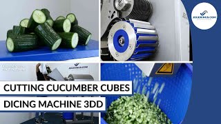 Diced Cucumber Machine | Vegetable Dicer 3DD | Cutting Cubes and Sticks