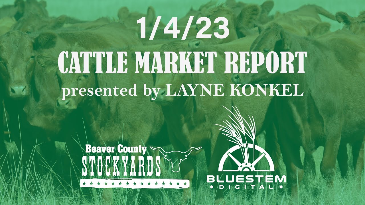 1/4/23 Beaver County Stockyards Cattle Market Report YouTube