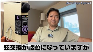 スネークスキン 三線本体替えの弦2本ありますが切れたままです交換できる方お得です The debate about changing guitar strings: 