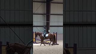 Margot's Pony Club (Chatham Hall last day of camp 6-19-26 😊🐎)