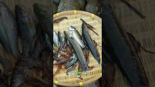 Primitive River-to-Table ASMR Cooking 🐠 Crisp Wild Greens #shorts #asmr #fishing #enjoyopedia