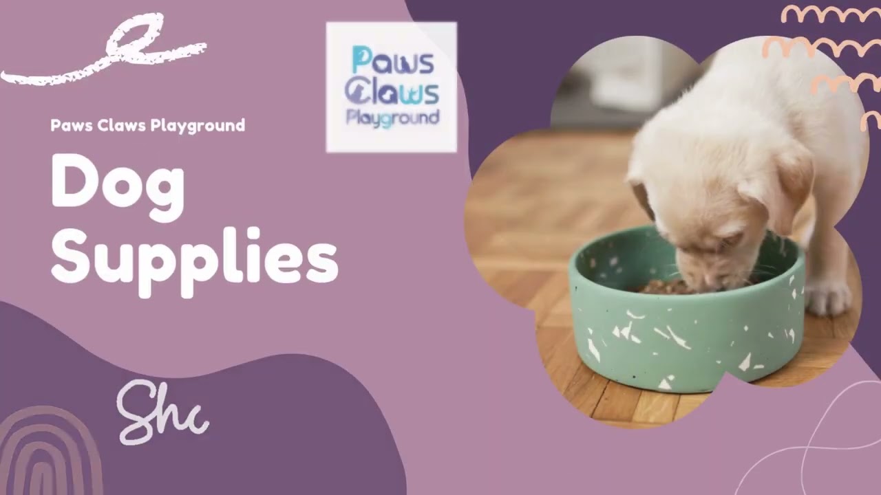 Charming Small Animal Essentials for Cozy, Happy Little Pets