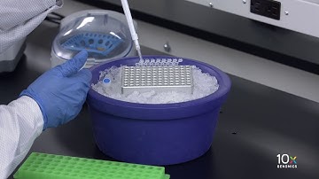 Single Cell Gene Expression Protocol v3.1 | Prepare Master Mix