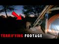 6 Most DISTURBING Forest Encounters Caught on Camera