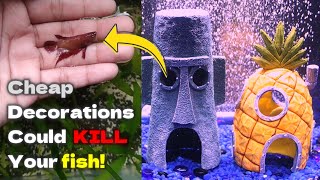 How to choose an aquarium decoration? - 7 Things to AVOID!