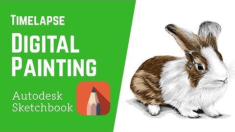 Timelapse Digital Painting using Autodesk Sketchbook - Rabbit