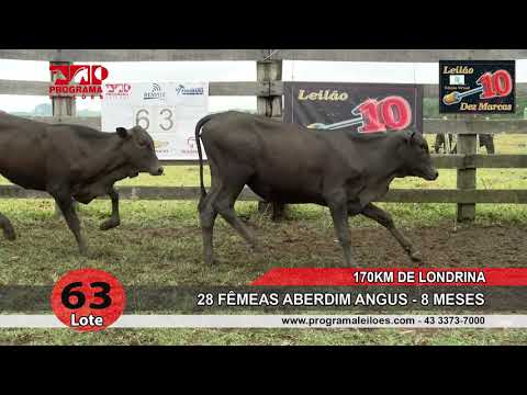 Lote 63