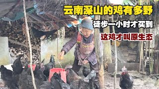 How Far Would You Go For The Perfect Chicken? A One-Hour Mountain Trek For A Truly Wild Taste.