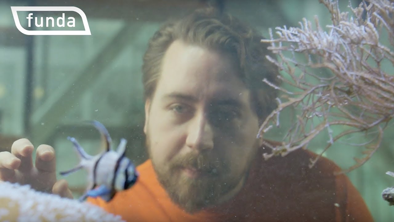 Working at funda | Funda