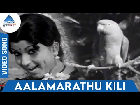 Paalabhishegam Tamil Movie Songs  Aalamarathu Kili Video Song  Sripriya  Vani Jayaram