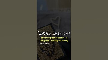 قرآن كريم بصوت جميل #قرآن #قران_كريم #راحة_نفسية #الرحمن