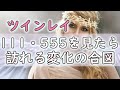 エンジェルナンバーから見るツインレイへのメッセージ！～守護天使が教える秘密のサイン～【スピリチュアル】